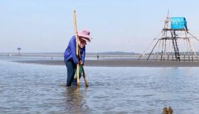 Capture the vibrant beauty of Vietnam’s coastal heritage with your visa